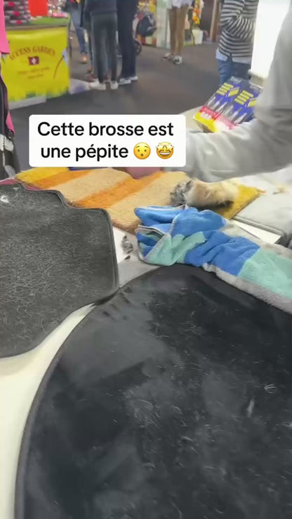 Brosse Anti Poils Animaux